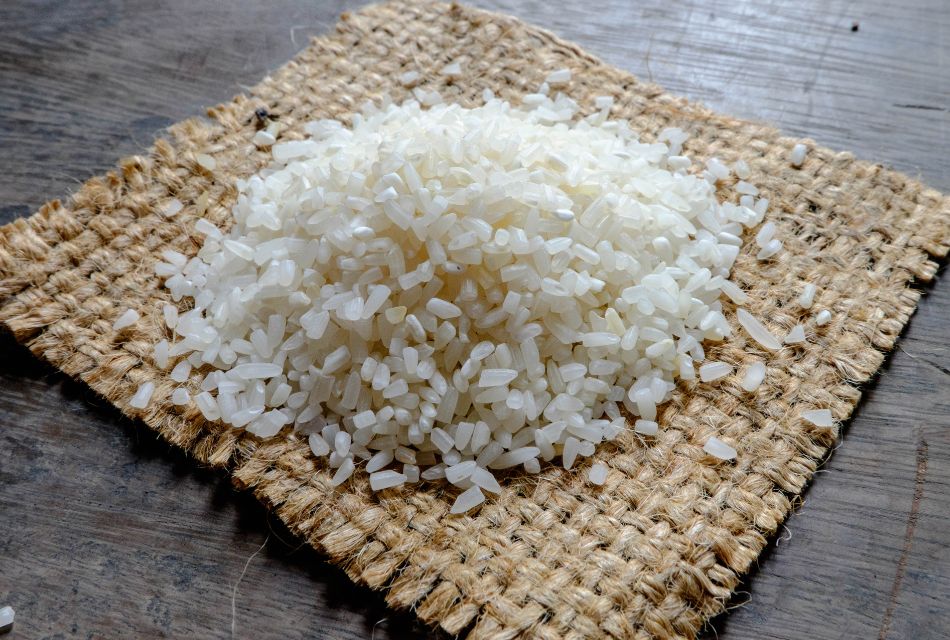 Broken Rice (Animal Feed)