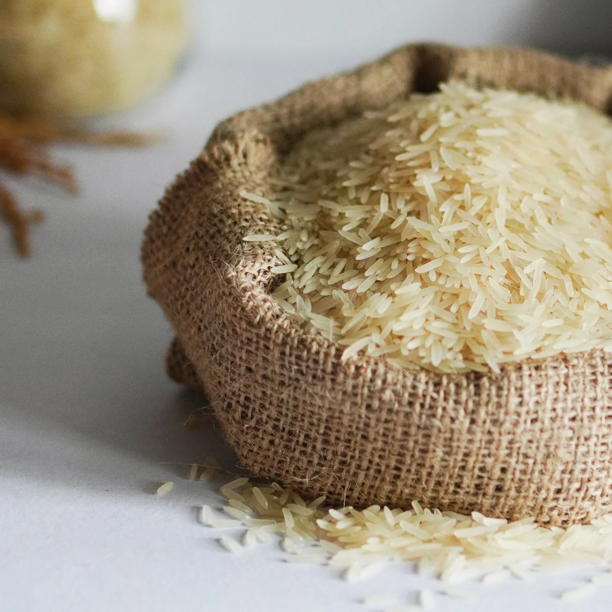 Premium Rice